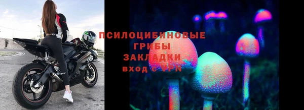 прущий лед Арсеньев