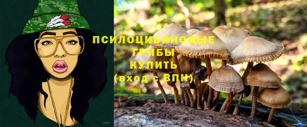 прущий лед Арсеньев